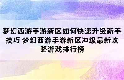 梦幻西游手游新区如何快速升级新手技巧 梦幻西游手游新区冲级最新攻略游戏排行榜